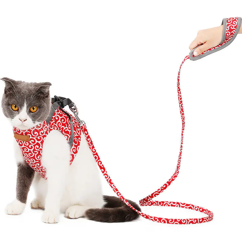 Cat Leash & Harness