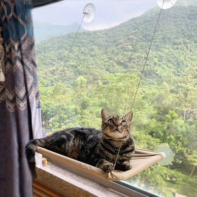 Cat Window Hammock