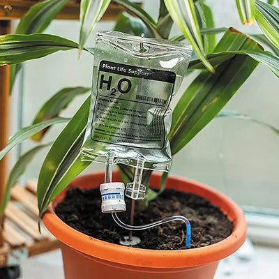 Botanical Hydration System